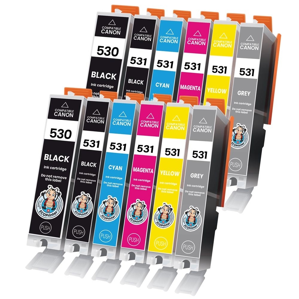 Pack de 12 cartouches ECOPrinter équivalent à Canon PGI-530  / CLI-531 