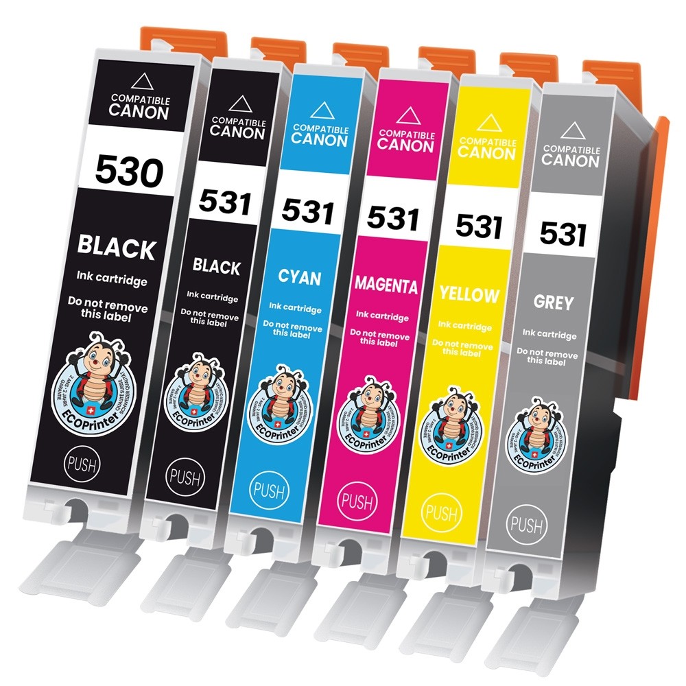 Pack de 6 cartouches ECOPrinter équivalent à Canon PGI-530  / CLI-531 